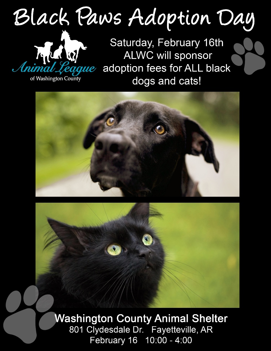 Black Paws Adoption Day