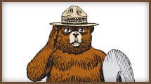 Smokey Bear #2