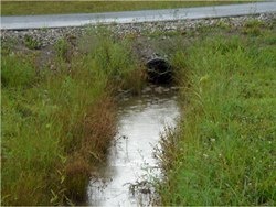 Rain ditch